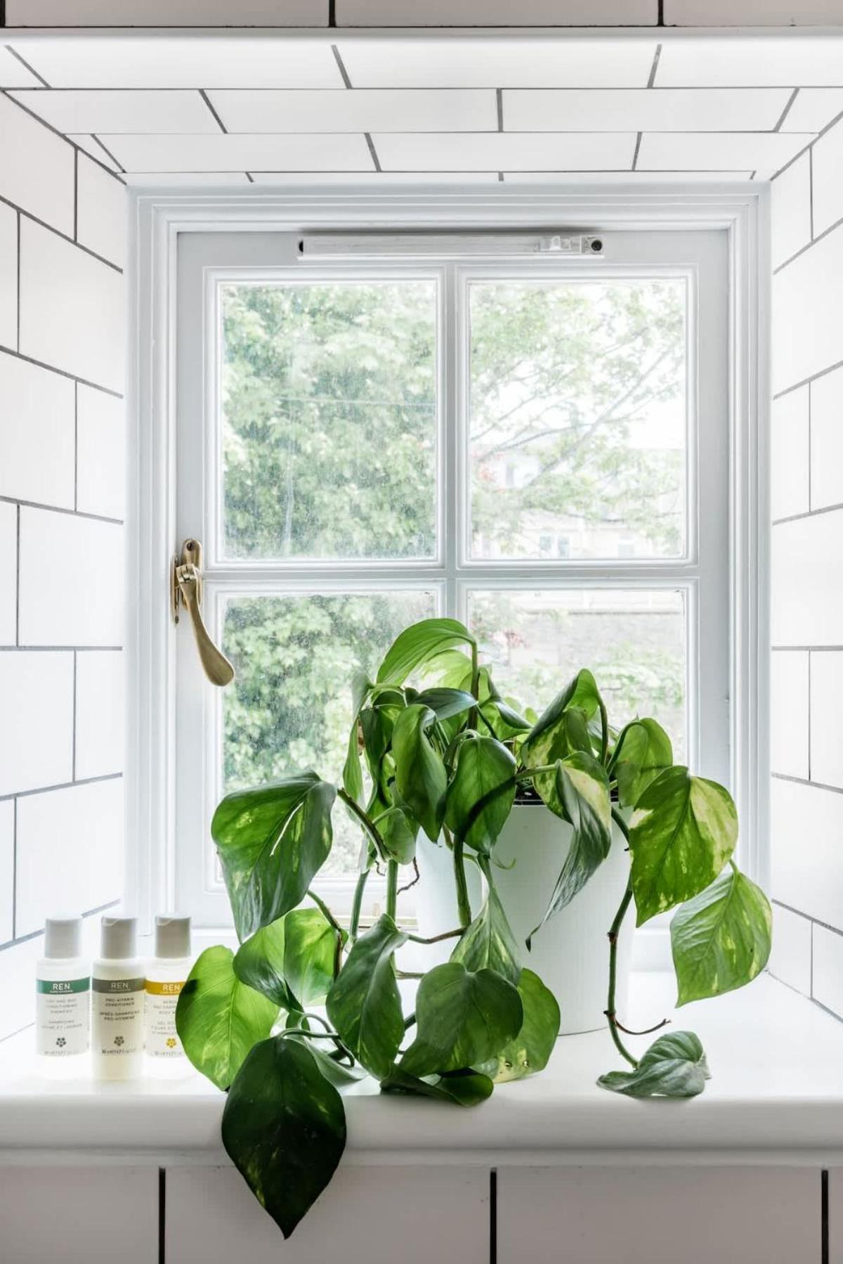 Central Georgian Townhouse With Free Parking Bath Eksteriør billede
